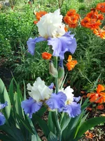 DSC07479.webp