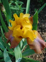 DSC07486.webp