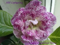 060920133367.webp