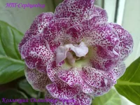 060920133368.webp