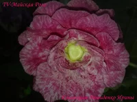 060920133371.webp