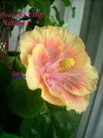 -2vWr1Y929Y.webp