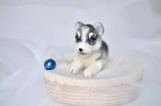 dog-10-1.webp