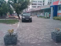 IMAG0976_1.webp