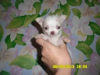 SAM_1186.webp