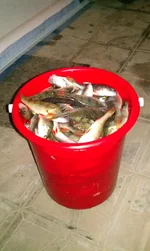 IMAG0323.jpg