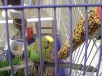 20130909_105346.webp