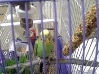 20130909_105323.webp