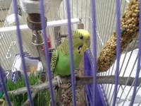 20130909_105307.webp
