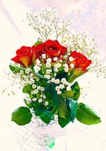 22.webp