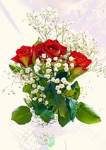 22.webp