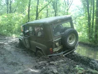 DSC_0365.webp