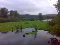 09092013592.webp