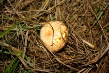 11-12 012.webp