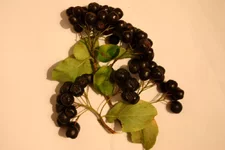 11-12 0001.webp