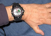 Shark Red 130913.webp