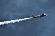594.jpg