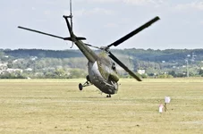 6187.jpg