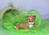 cat-14-1.webp