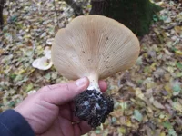 DSCF9799_1100.jpg