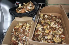 IMG_3112-13.webp