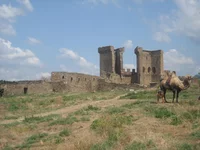ф 075.jpg