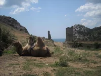 ф 078.jpg