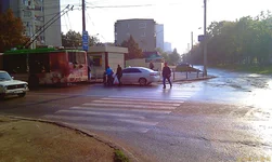 IMAG0161.webp