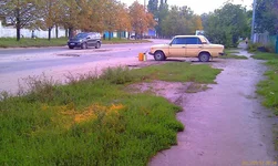 IMAG0158.webp