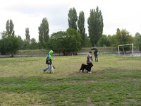 IMG_7118 (Large).JPG