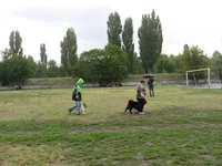 IMG_7118 (Large).webp