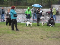 IMG_7121 (Large).webp