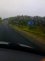IMG_20130908_094907.webp