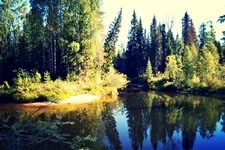 IMG_20130913_024142.jpg