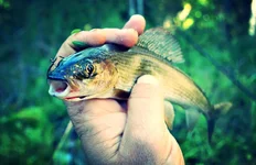 IMG_20130913_025428.jpg