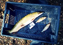 IMG_20130913_025638.jpg