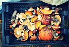 IMG_20130913_030124.jpg