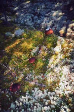 IMG_20130913_030730.webp
