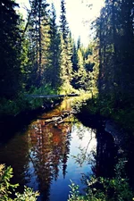 IMG_20130914_105828.jpg