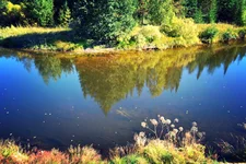IMG_20130916_090250.webp