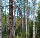 IMG_20130916_091254.webp