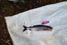 IMG_20130916_092235.jpg