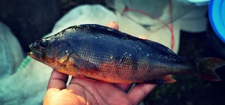IMG_20130916_092335.jpg