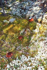 IMG_20130916_092509.jpg