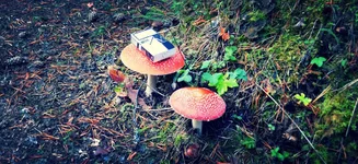 IMG_20130916_092848.jpg