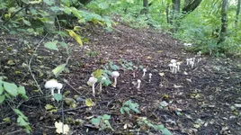 2013-09-17_12-10-27_652.jpg