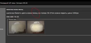 pisets.webp