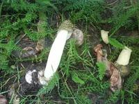 DSC00479.JPG
