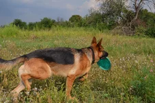 _2013 070.webp