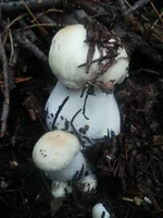 20130918_070701.jpg